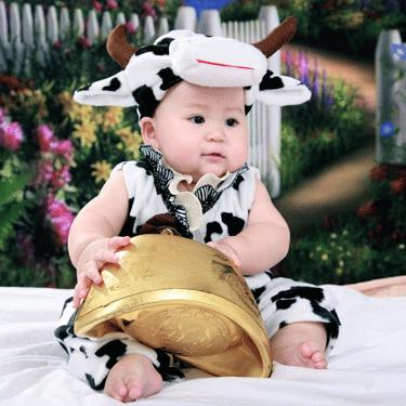 正月的生肖牛今年运势如何(2021正月属牛)