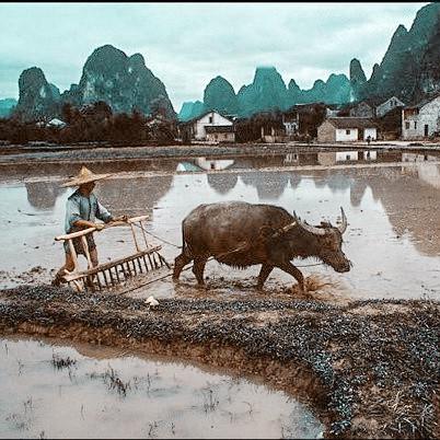 桂林耕田机相关长尾关键词有哪些