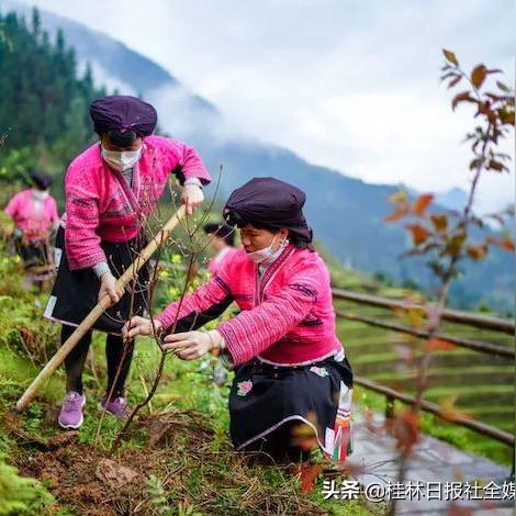 桂林市在哪里检车