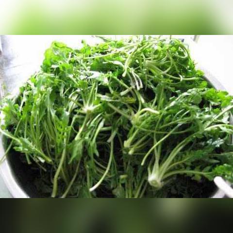 长沙春雨饺子相关长尾关键词有哪些