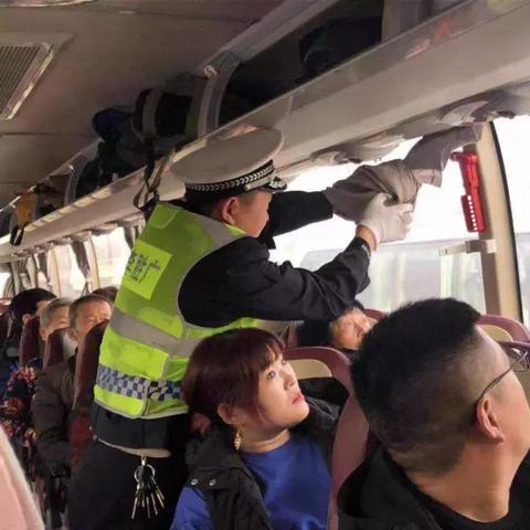 菏泽市中考志愿怎么报