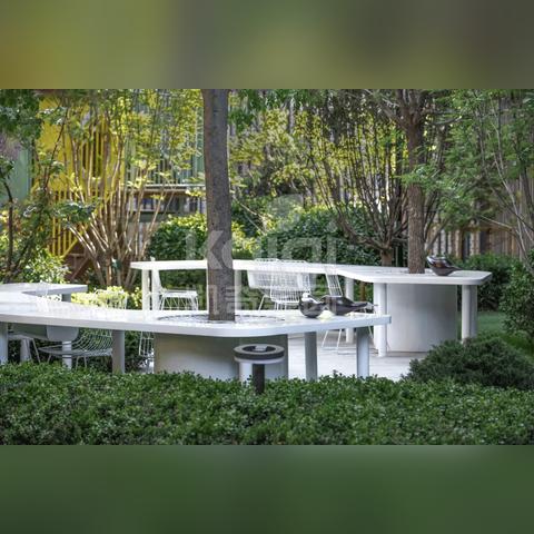 大连市农村院子里种什么树