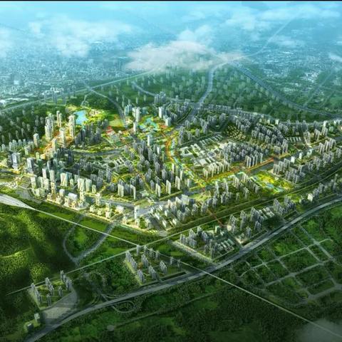 深圳为什么没有碧桂园？