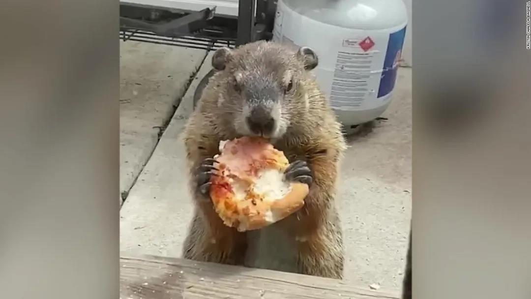 【专家:美国新一波疫情高峰或将到来
 ,美国再现疫情高峰】