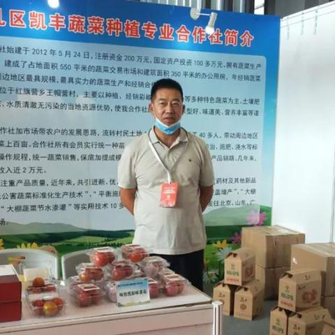 天津番茄厂子怎么样