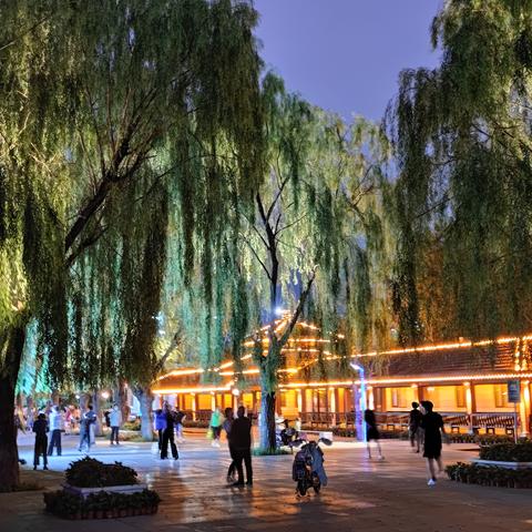 沈阳市铁西区属于哪个区