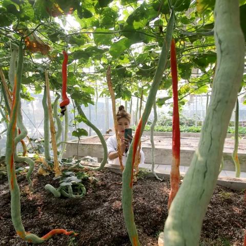 富阳公交站到东洲工业园区怎么走？