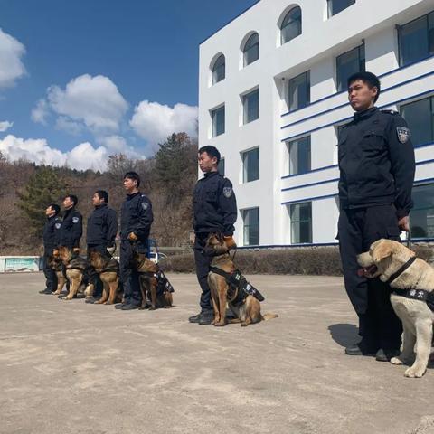 哈尔滨边防的相关长尾关键词有哪些