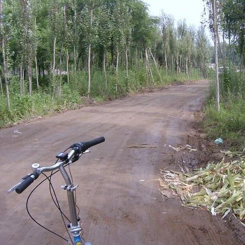 沈阳汪家在哪相关长尾关键词有哪些