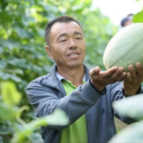 济南市区哪里有卖川蜜
