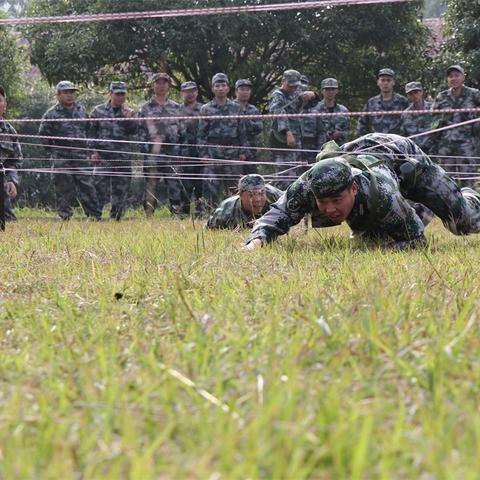 广西桂林市都有哪个区