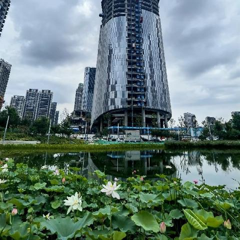 济南市博物馆大门朝哪？