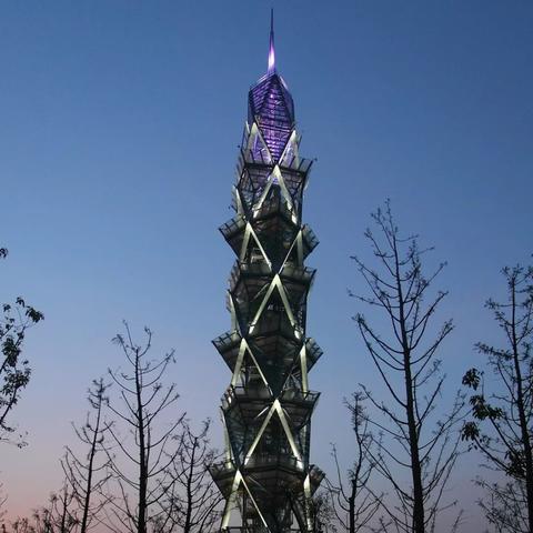 上海大学有哪些人物