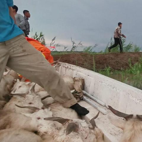 哈尔滨公交216相关长尾关键词有哪些