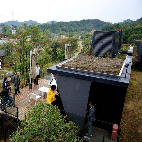 长沙市政府哪个是开慧人