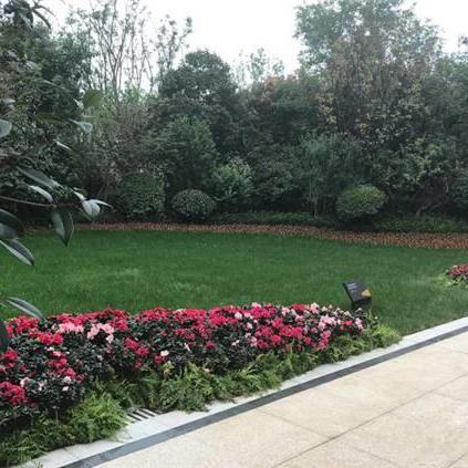 西安市养老怎么返