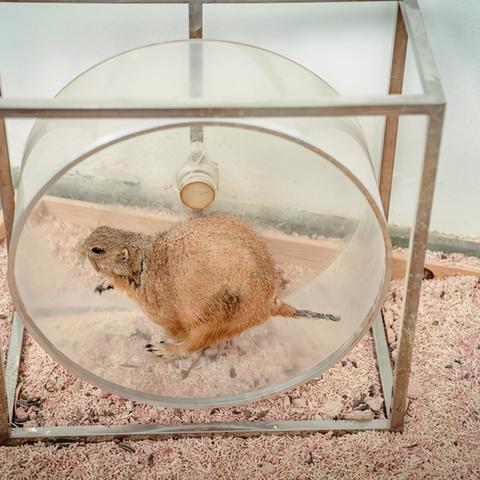 宁波雅戈尔动物园评论的相关长尾关键词有哪些