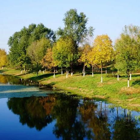 中山植物园南园北园哪个好玩？