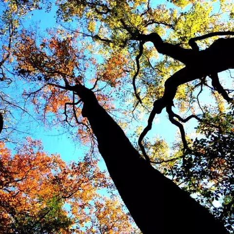 温州市21号天气的长尾关键词有哪些