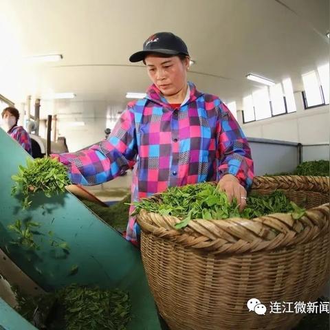 福建连江职专怎么样