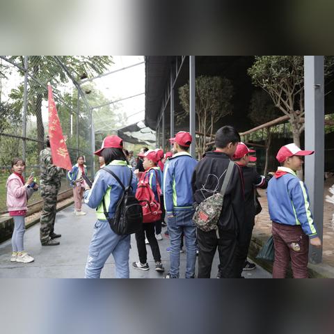 济南市清河小学怎么样