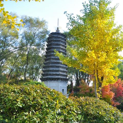 沈阳市接骨哪个医院好些