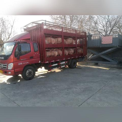 西安市蛋鸡都是什么品种