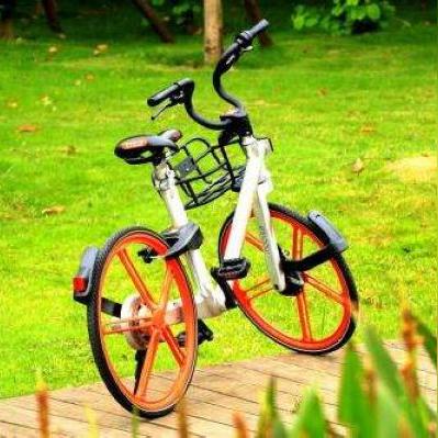 厦门有哈罗的相关长尾关键词有哪些