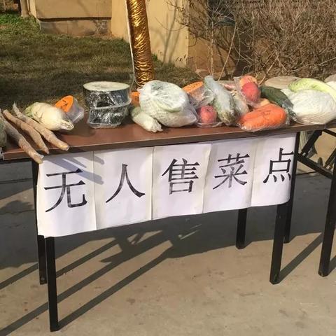石家庄市物业都管什么