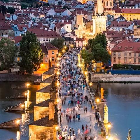 上海白鸽推荐食品有哪些