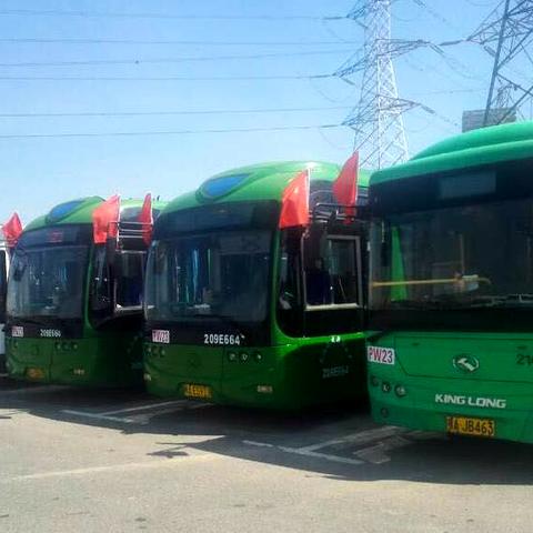 武汉市大学编号是什么