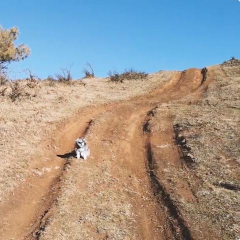 昆明市回收电脑键盘的长尾关键词有哪些