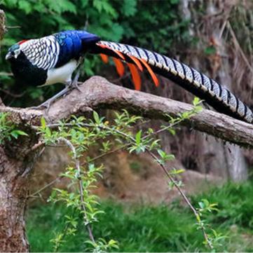 武汉优美汇的长尾关键词有什么