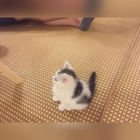 长沙市休闲会所怎么样