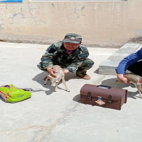 进了天气的长尾关键词有哪些