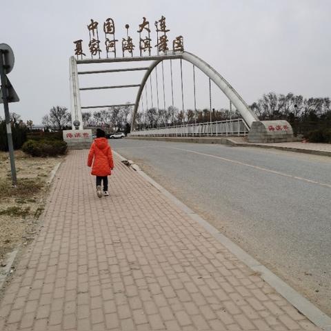 到大连市夏家河坐什么车