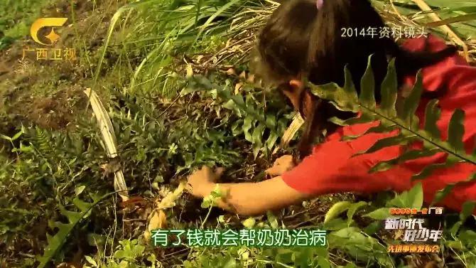 女宝宝起名姓佘怎么取名(有什么好名字可以推荐一下的吗)