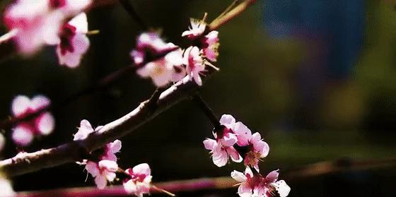 【黑河新闻
 ,黑河新闻联播】