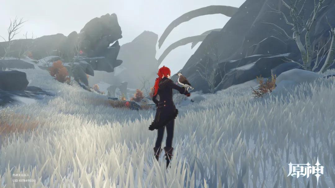 原神中雪地的石头怎么打破（原神雪山三个核心）