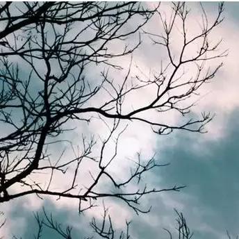 石家庄市平均气温的长尾关键词有哪些