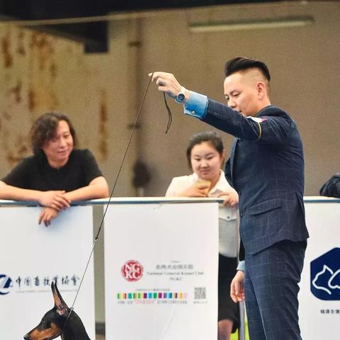 天津恶霸俱乐部怎么样