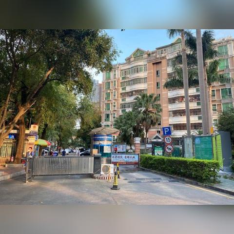 深圳市市中心在哪个区?