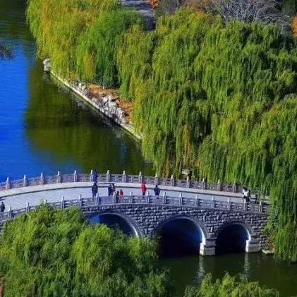 淄博和济南市地图哪个大