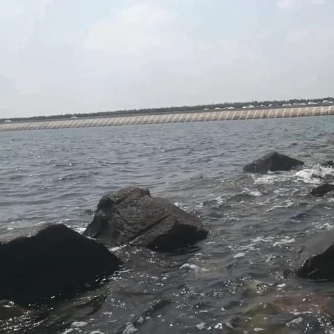 潍坊市赶海小火锅店在哪里