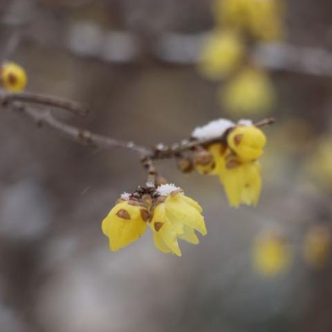 临沂市的书法广场的长尾关键词有哪些