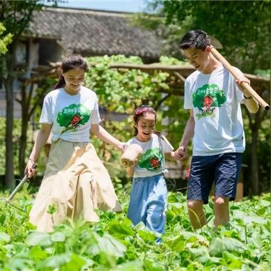 [乌镇苏州上海南京]相关长尾关键词有哪些