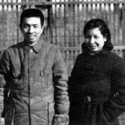 悲情农民电影有哪些