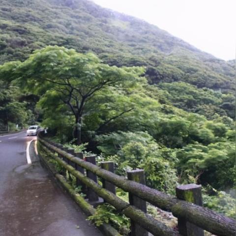 东北大学黄金学院算不算985？