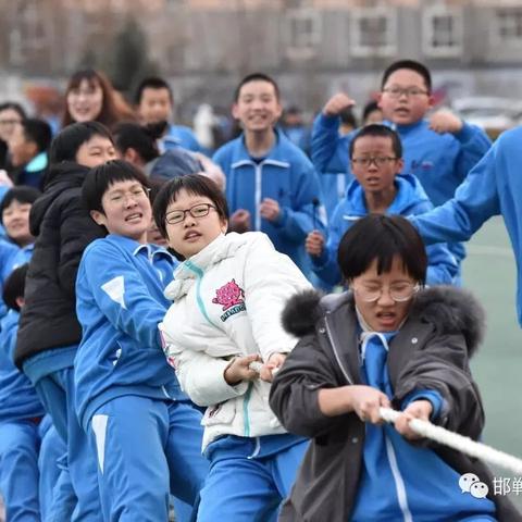 邯郸市育华中学有什么树