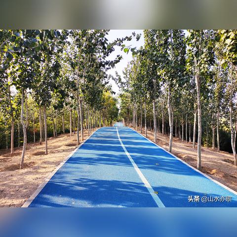 石家庄市春树造型的长尾关键词有什么